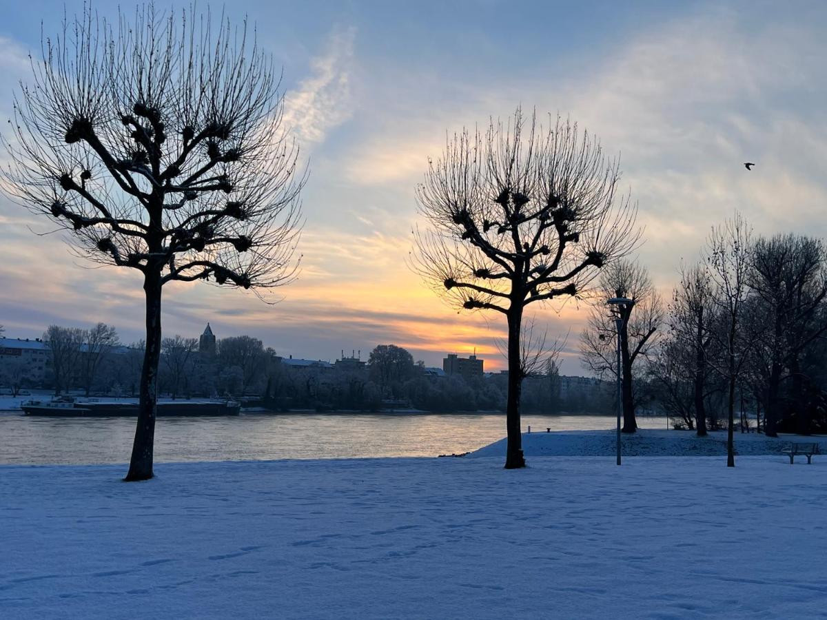 Living Lu - Cosy Apartment - Netflix - Mannheim - Basf Ludwigshafen am Rhein Buitenkant foto